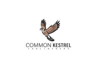 Fototapeta premium Stylized vector art of a common kestrel mid-flight with elegant swooping wings, created for branding, birding enthusiast art, wildlife prints, and decorative nature-themed graphics.