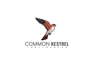 Fototapeta premium Beautiful stylized illustration of a common kestrel in mid-flight with outstretched wings, perfect for elegant wildlife branding, decorative wall prints, and vector logo use.
