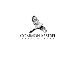 Monochrome vector illustration of a perched common kestrel bird in side view with fine feather details, perfect for professional wildlife artwork, logos, or eco-friendly branding.

