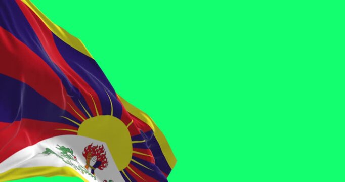 Close-up of Tibet flag waving in in the wind isolated on green background