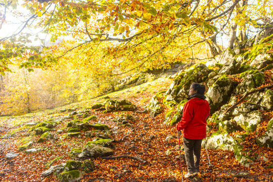 Woman hiking in Gorbea Natural Park in autumn
