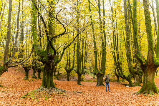 Man hiking in autumn at Gorbea Natural Park