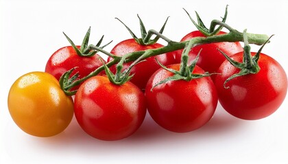 ripe cherry tomatoes on a vine for healthy cooking ideas cut out transparent