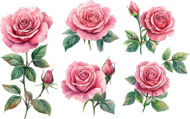 seamless pattern with roses