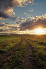 Fototapeta premium Rural path at sunset. Golden light on grassy field