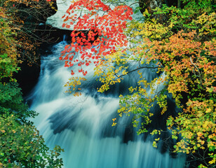 竜頭の滝すぐ下流の湯川の紅葉