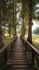 Wooden bridge path through trees to distant green