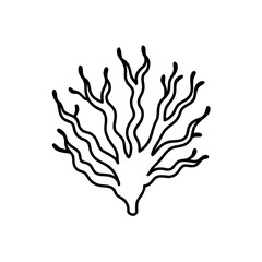 Fototapeta premium soft coral glow with elegant present strokes