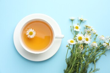 Tasty chamomile tea and flowers on light blue background, flat lay