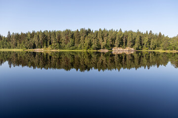 reflection of trees in water of calm lake