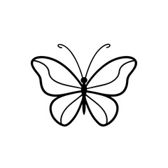 Fototapeta premium graceful butterfly on whisper blush