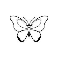 polished gold butterfly on soft buff