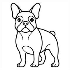 Stylized white french bulldog illustration on a black background