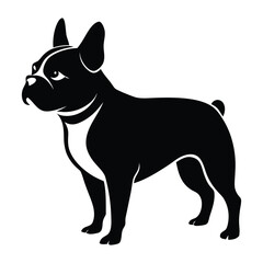 Black and white silhouette of a french bulldog standing