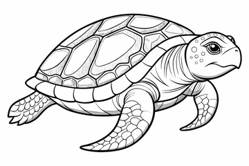Fototapeta premium coloring page line art the loggerhead turtle black vector