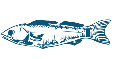 Fish illustrations on white background. Carp, bass fish, trout, salmon, sword fish icons. Design elements for label, emblem. Vector illustration.