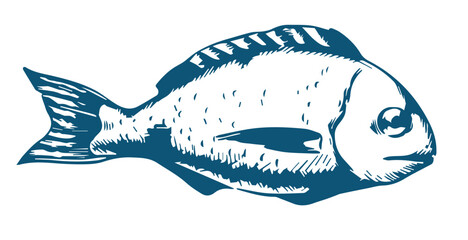 Fish illustrations on white background. Carp, bass fish, trout, salmon, sword fish icons. Design elements for label, emblem. Vector illustration.
