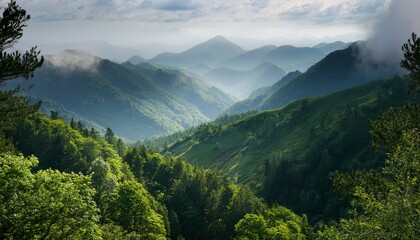 ethereal mountain vista revealing lush forests bathed in cool mist under a hazy sky from an elevated position