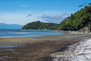 Serene Coastal Landscape with Low Tide and Lush Greenery