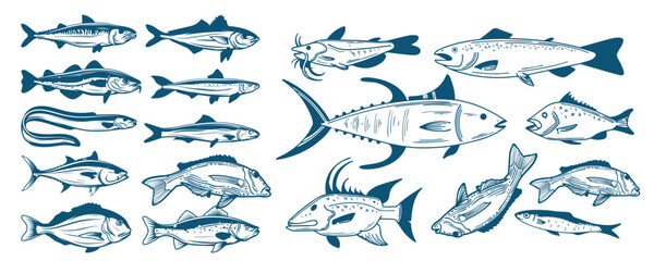 Fish illustrations on white background. Carp, bass fish, trout, salmon, sword fish icons. Design elements for label, emblem. Vector illustration.