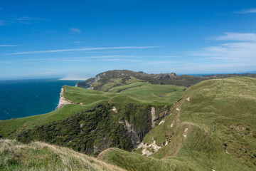 Lush Green Hills and Ocean View