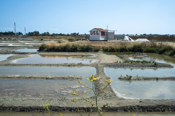 Marais salants, Ile de Noirmoutier, 85, Vendée, France