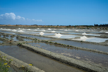 Marais salants, Ile de Noirmoutier, 85, Vendée, France