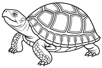 coloring page line art the box turtle black vector