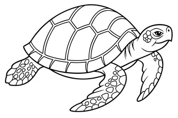 coloring page line art the box turtle black vector