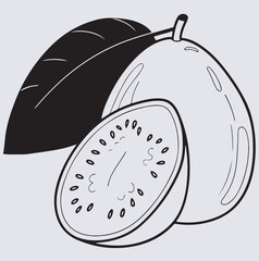 guava and guava slice line art silhouette vector art illustration, illustration of  guava