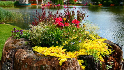 Blumenschmuck am Teich, Puchberg am Schneeberg, Niederösterreich © cagala