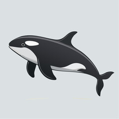 Fototapeta premium Orca