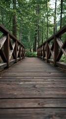 Obraz premium Wooden bridge path through a lush forest