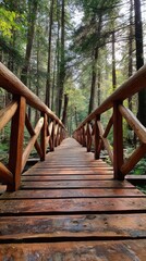 Obraz premium Wooden bridge path through a forest