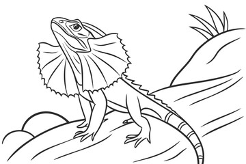 coloring page line art the frilled lizard black vector