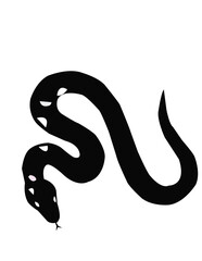 black and white snake