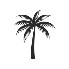 Fototapeta premium Silhouette of a palm tree on white background