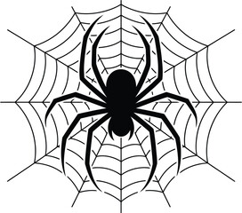 Black spider on a white spiderweb arachnid insect