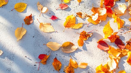 Vibrant autumn leaves drift across a sidewalk, captured in sharp focus with a wave-like motion against cool-toned concrete. Autumn