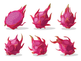 Exotic Dragon Fruit Illustration Collection Isolated on White Background Delicious Tropical Food and Healthy Eating Concept