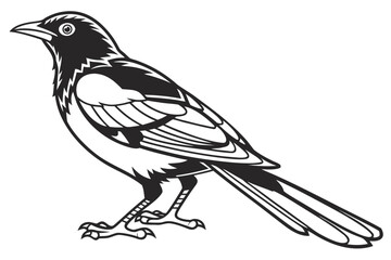 Fototapeta premium coloring page line art the weaverbird black vector