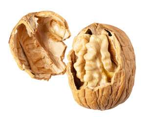 Walnut opening, revealing its nutritious core on transparent background