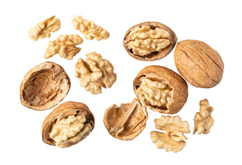 Walnuts falling on transparent background: whole, opened, and shelled nuts