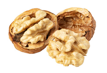 Walnut kernels emerging from cracked shell on transparent background