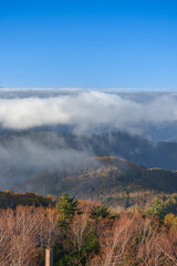 標高2000メートルの美ヶ原高原