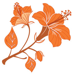  vector illustration bougainvillea orange