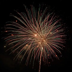 Spectacular Burst of Fireworks Illuminating the Night Sky with Vibrant Colors