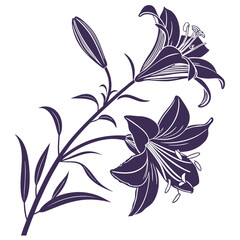 abstract floral background with bessera elegans purple