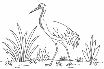 coloring page line art the brolga bird black vector