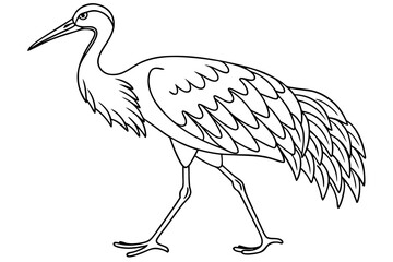 coloring page line art the brolga bird black vector